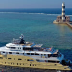 Golden Dolphin4 2